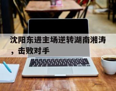 沈阳东进主场逆转湖南湘涛，击败对手的简单介绍