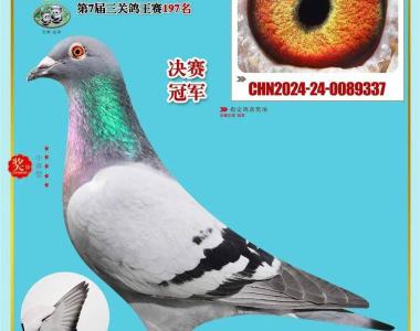 预告欧洲预赛：谁将成为最令人期待的黑马球队