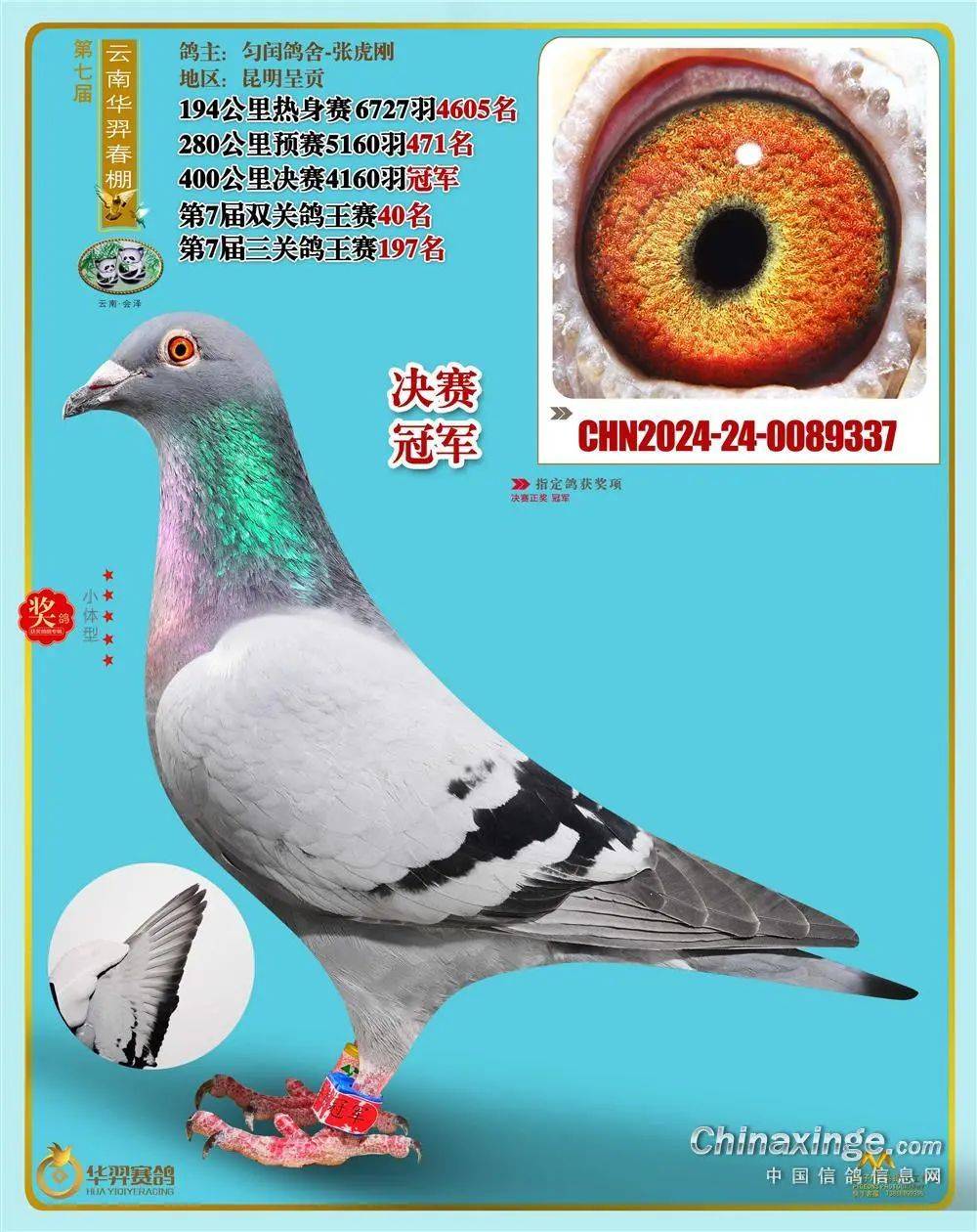 预告欧洲预赛：谁将成为最令人期待的黑马球队