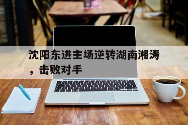 沈阳东进主场逆转湖南湘涛，击败对手的简单介绍